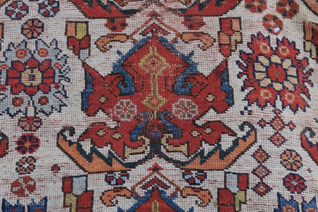 So-called Dragon & Phoenix Afshar: complete, beautiful & untouched. Some low pile/wear towards the center, minor damage towards lower end (see pics). Well drawn and early enough, I decided to offer it  ...