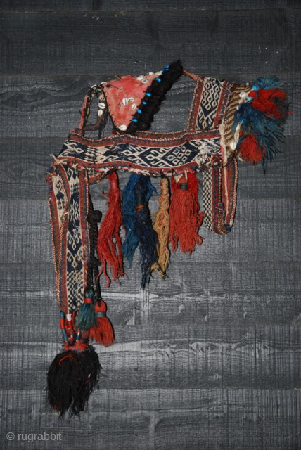 This is a very rare Qashqai or Bhaktiari horse bridle ca 1920 (or older), made from warpfaced patterned band and decorated with a lot of kauri shells and old ceramic turkoois beads.  ...