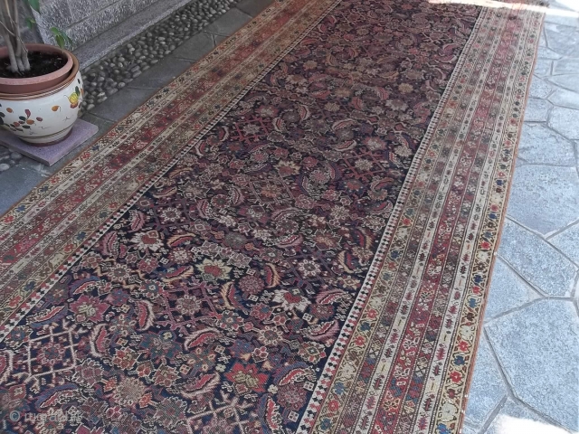 427 x 175 is the size of this antique BIDJAR in fair condition.
This is a Persian kordi important Bidjar kelley.
Beautiful design and natural dyes. All wool.
Antique piece knotted around the last quarter  ...