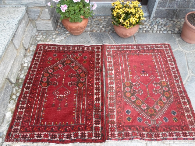 A Pair of old Bashir Turkkmen Afghan carpets.
Very, very good condition. Full pile, foundations
all wool for this pair.
Size 108 x 80 + 108 x 81 cm.
Mehrab  design
More info or pictures on  ...