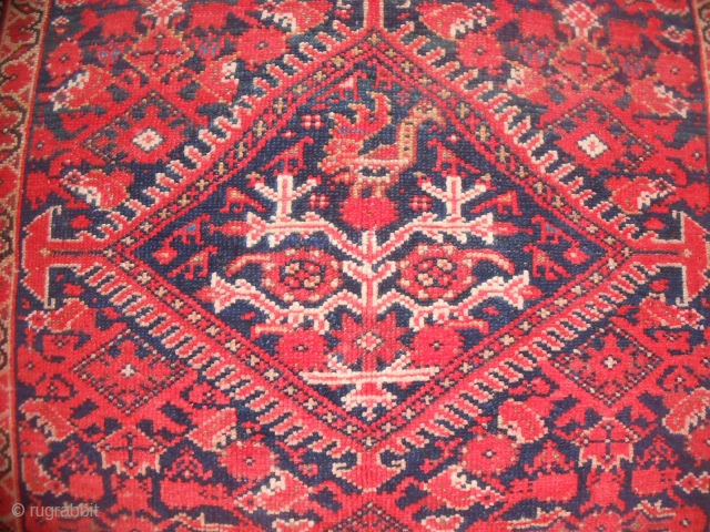 198 x 126  cm
Tappeto antico PERSIANO MALAYER
Antique PERSIAN MALAYER 
Very good condition.
NOTES: before the 01.01.2015 was
exported from Iran.

GREETING from COMO !
MML

***venduto in Bergamo***         