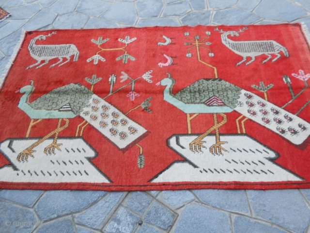 UIGHUR-KHOTAN EAST Turkestan in very good condition.

Epoca about 1920. Original carpet knotted in Xinjiang.
Wool on cotton.  SIZE  cm. 251 x 150. 
Other photos on request.
Good look.

VENDUTO a FLORENCE (FIRENZE)   ...