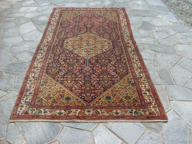 288 x 150 cm is the size of this antique BIDJAR-Kurdi. Knotted very fine.
Bejinning XX century. Perfect conditions, and very beautiful colours.
All original antique persian piece.
====  THIS PIECE HAS BEEN SOLD  ...