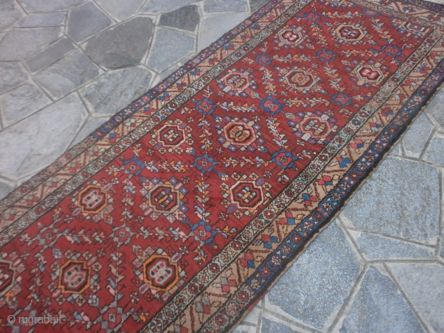 Persian runner knotted in the village of ARDEBIL.
Wool on cotton foundation.
330 x 100 cm. is the size of this persian-azeri piece.
Very good condition. hAS BEEN washed RECENTLY.
nOTES:  THIS ARDABIL LONG RUG  ...