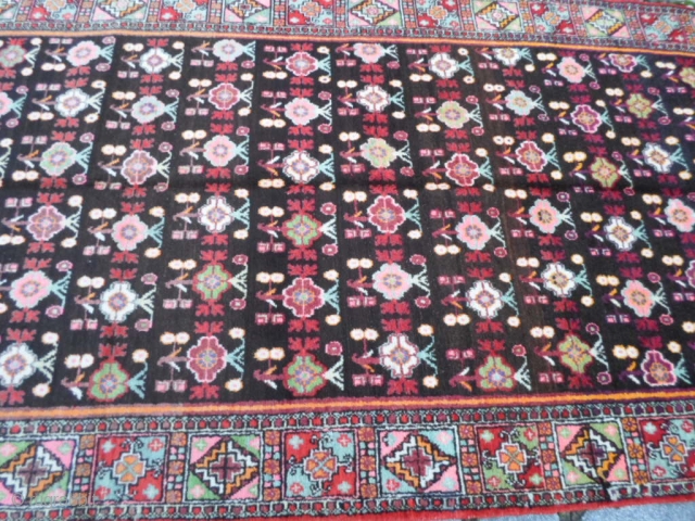 East Turkestan OASI of XINJIANG.
This Samarkand carpet has a very
very original design.
In very good condition.
YARKAND OASI.
More info and photos on request. 
The size is cm. 333 x 158.
GREETING   from   ...