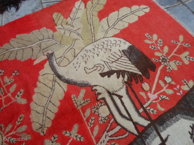 Ancien KHOTAN-UIGHUR in very good condition,
original size, full pile without restors.
Design the KING of the birds.
Great wool and wonderfull color has this carpet.
Size cm 261 x 170 cm.
More info and photos on  ...