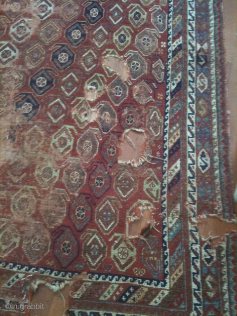 beautiful persian rug                              