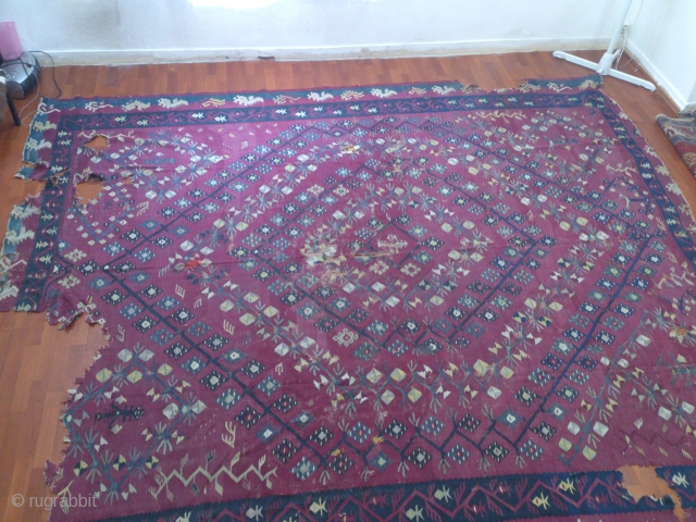 sharkoy kilim                               