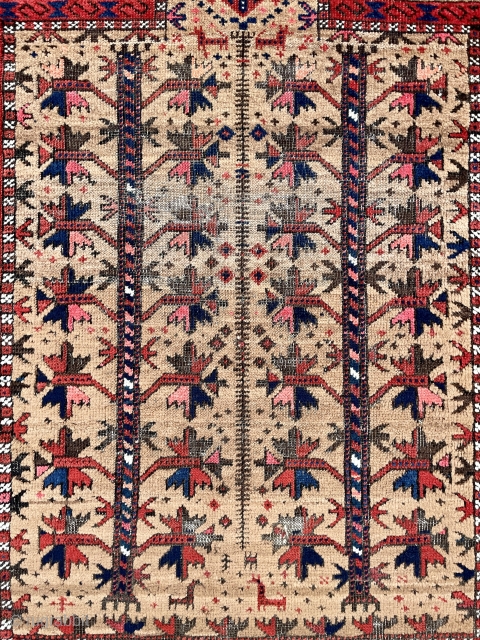 Baluch Prayer Rug with tree of life pattern on a camel ground with beautiful saturated colors - In my experience this is one of the best of type!     