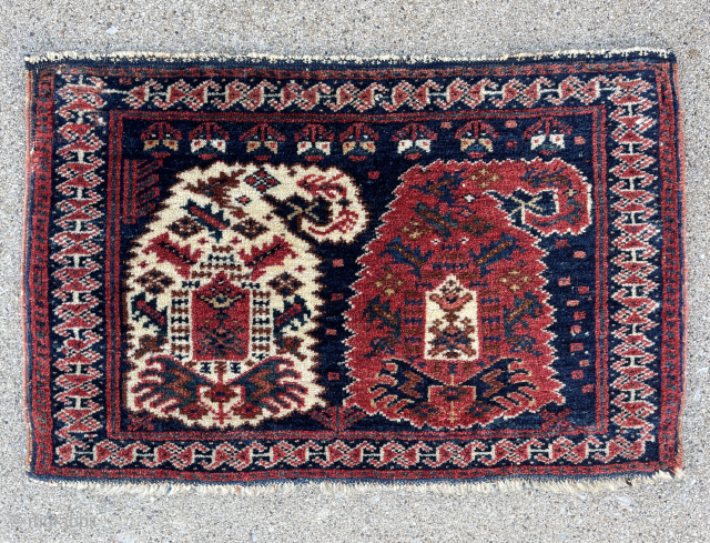 Afshar Bagface - email yorukrugs@gmail.com                            