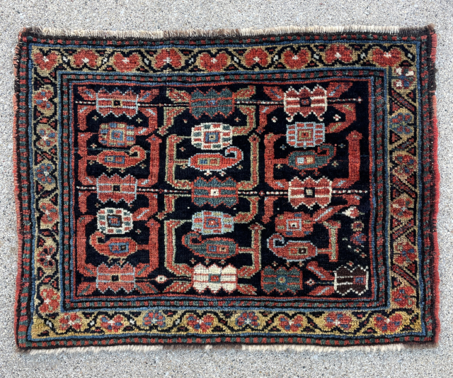 Khamseh Bagface with unusual pattern - yorukrugs@gmail.com                          