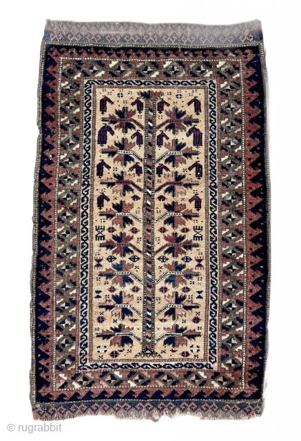 Baluch Balisht - late 19th c. - 21" x 34" - 53 x 87 cm                  