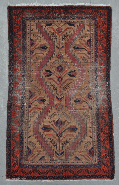Baluch rug with Camel ground - 3'5 x 5'7 - 104 x 169 cm.                   