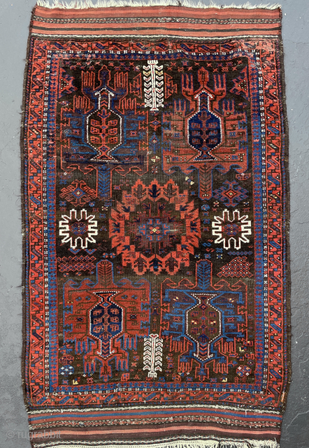 Timuri Baluch Rug - 4'0 x 6'5 - yorukrugs@gmail.com                        