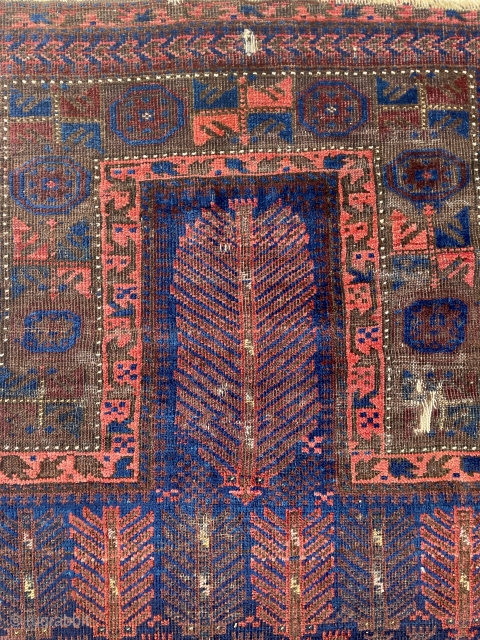 Early & Rare Timuri Baluch Prayer Rug with minute silk highlights, no repairs, deep saturated colors, signs of wear consistent with use as a prayer rug - 3'6 x 4'9 - 110  ...