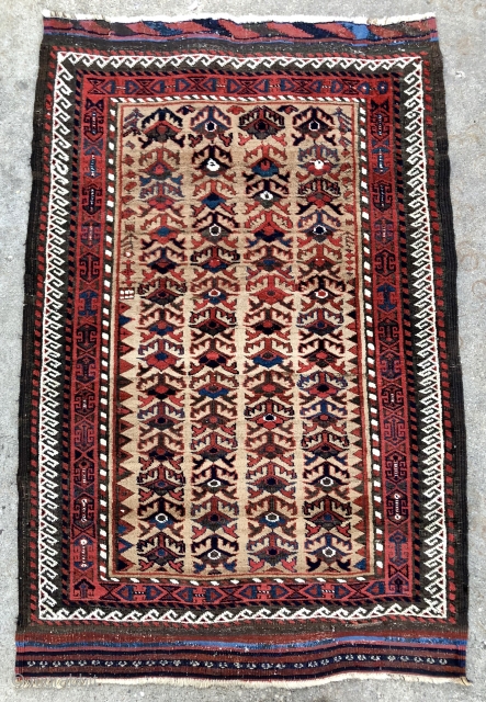 Khorassan Baluch rug with camel field, great colors and rare design - 3’7 x 5’5 - 110 x 165 cm. - asymmetric open right with heavily depressed warps.     