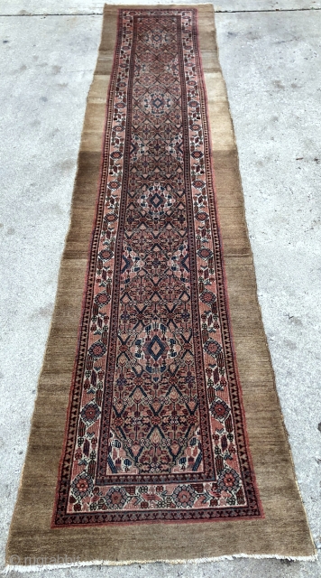 Antique Camel Hamadan Sarab runner in great original shape, no repairs - 3'0 x 13'10 / 92 x 424 cm.             