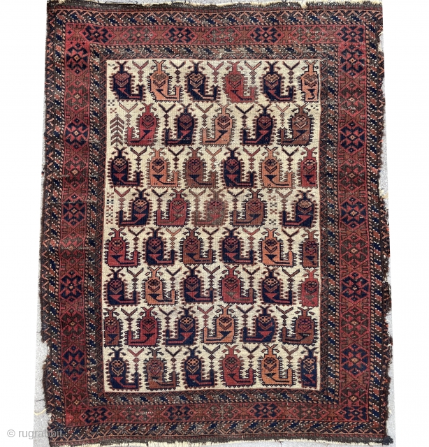 Fine Baluch Rug on rare ivory ground - Is it Boteh, is it Scorpion, well I actually think it is Shahmaran - see extra pictures! - 2'10 x 3'9 - 88 x  ...