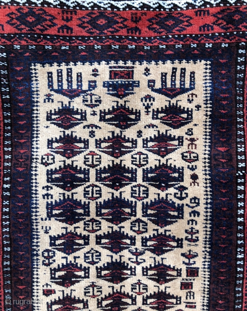 Super fine exceptional Baluch Prayer rug in mint condition! Check out the back!                    