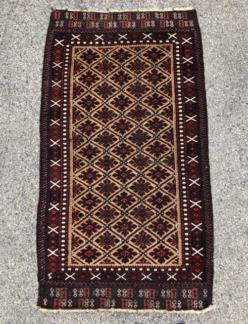 Camel field Baluch with “snow flake” design, excellent wool and saturated colors, tight weave and rare sumak skirts! - 3’2 x 5’8 - 98 x 177 cm.      