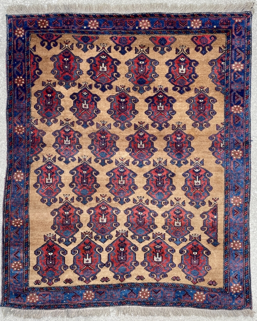 Afshar Rug just added to the website - link for details and brows other listings - https://www.yorukruggallery.com/shop/vintage-rugs-carpets/medium-vintage-rugs-carpets/afshar-tribal-shield-rug-4-x-5-123-x-150-cm/                