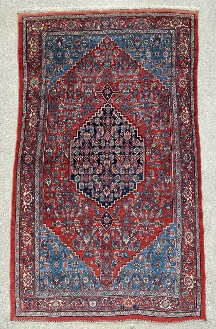 Fine Bidjar Rug with great colors on wool foundation and good condition - no repairs - 4'4 x 7'4              