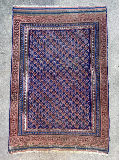 Timuri Baluch Rug from the Dokhtar-e-Qazi sub-group with less common all over pattern - 3'7 x 5'3 - 109 x 168 cm -          