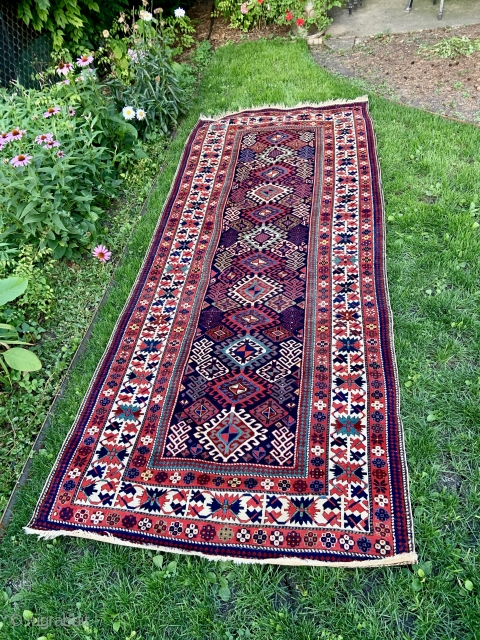 Caucasian Shirvan Rug - 4'3 x 10'4 / 130 x 315 cm                     