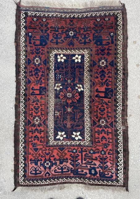 Mina Khani Baluch Rug - email - yorukrugs@gmasil.com for details                       