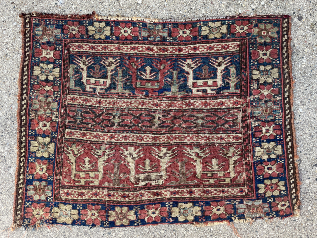 Shahsavan Soumak Bagface - extra pictures in link https://www.yorukruggallery.com/shop/antique-rugs-kilims-carpets/antique-caucasian-rugs/shahsavan-soumak-animals-bagface-22-x-17-57-x-43-cm/                        