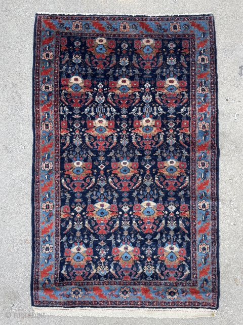 Small Fine Senneh Rug with Zil-e-Sultan design - 3'0 x 5'0 - 91 x 151 cm.                 
