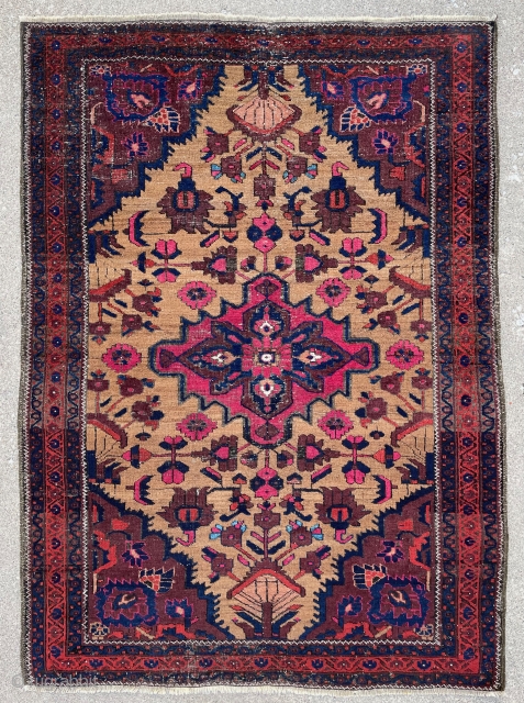 Ferdows Baluch Rug with camel field - c.1900 - 3'9 x 5'4 - 119 x 165 cm                