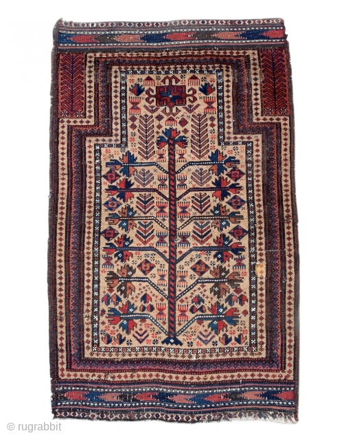 Please take some time and look at the details, the use of colors and proportional drawing the weaver of this beautiful Baluch Prayer Rug has achieved. - 19th century.  -   ...