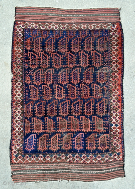 Antique Baluch rug with quite unusual field and border - 3'11 x 5'10 - 118 x 176 cm.               