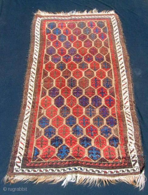Baluch small rug, 30 X 56".  Humble little rug with a tile/shrub design.  Low pile with some knot collars showing and some corrosion of browns - priced accordingly.   
