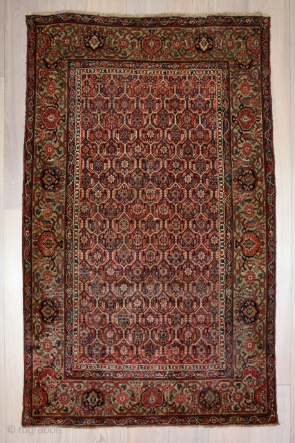 Persian rug 19th century                             