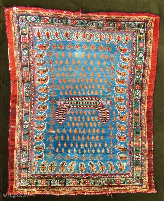 A lovely 'Shahsevan' Sadle cover ,
Great colors !
North west Persia .
Warp in colton . 
Circa : 1850 !               