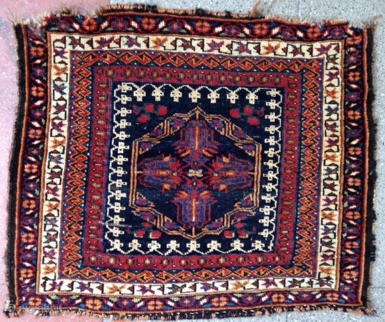 September sale : 
Charming South Persian Nomadic bag face ( Afshar ! )
With Turkic culture's Tulips… very fine rug .
Old.             