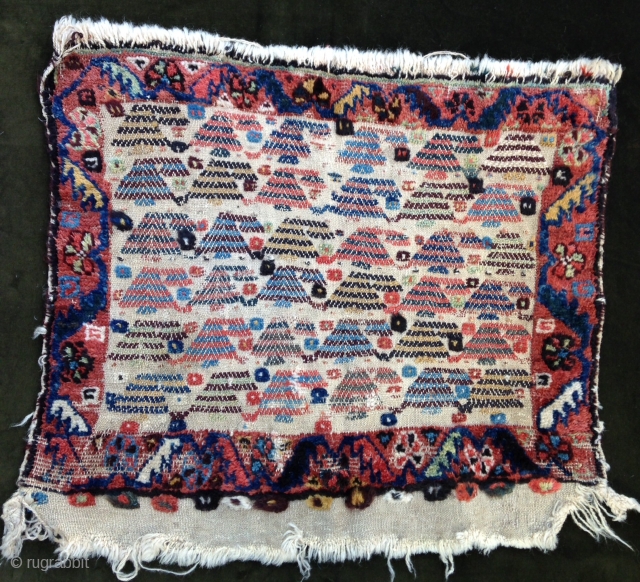 September Sale : Pretty and unusual Bagface from Qashgayi nomads.                       