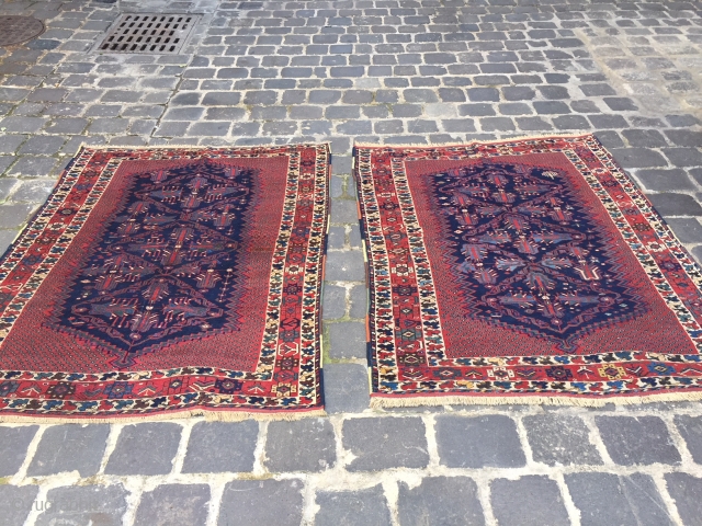 Afshar pair size 170x130 cm Circa 1910 
                         