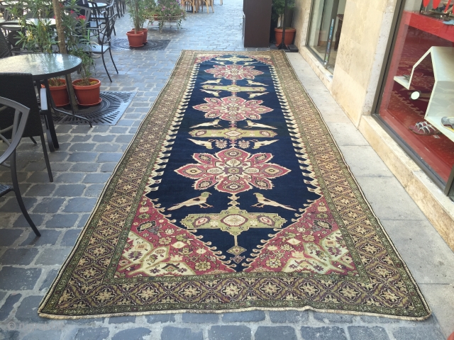 lampa karabagh rare size 625x200 cm with lovely parrots                        