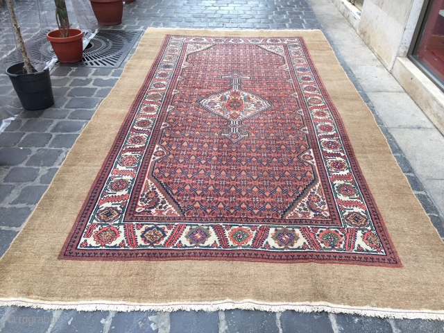 Sarab dated in three places 1315 Hijri camel hair 
good condition size 380x210 cm                   