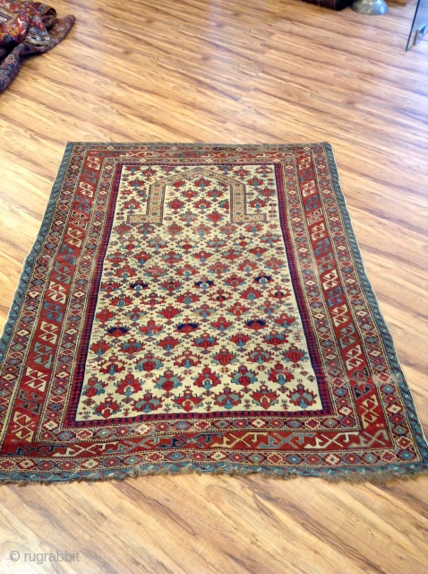 Shirvan Prayer rug  1840
Size 151x121                           