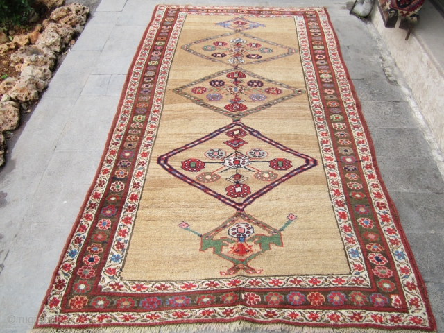 kurdish rug.19th natural colors with camel wool. is a small repair in the end size 230x127                  ...