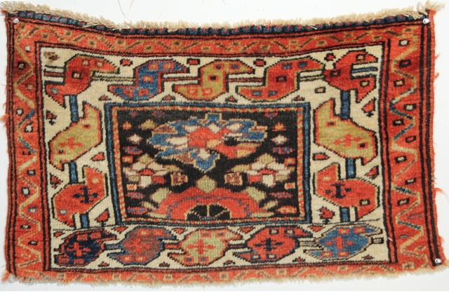 A beautiful Shahsavan/Kurdish Northwest Persian pile Bagface on a wool foundation. Circa 1880. 1-7 x 2-7 ft.                