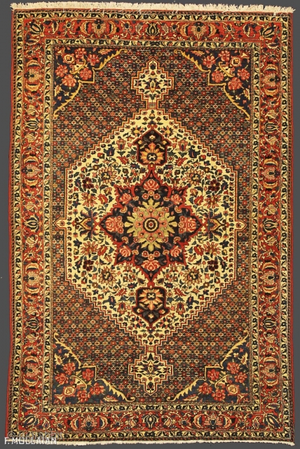 Persian Bakhtiari Antique Rug, ca. 1900
207 × 136 cm (6' 9" × 4' 5")
                   