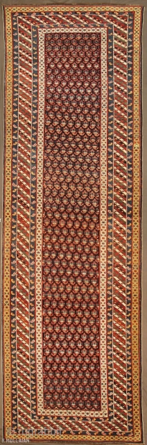 Beautiful Antique Caucasian All-over (stylized bothe) Ghenge Rug, ca. 1880
360 × 110 cm (11' 9" × 3' 7")               
