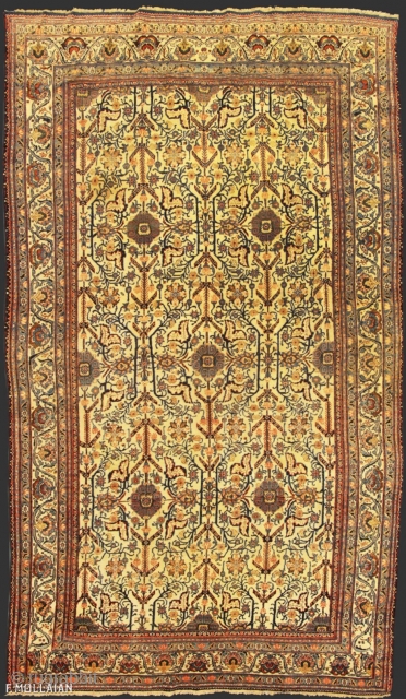 Nice Antique Dorokhsh Persian Carpet, ca. 1920

381 × 220 cm (12' 6" × 7' 2"),

Price for Extra EU citizens/UE Companies: €980.00            