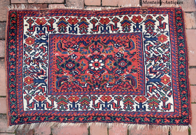 Large Southwest Persian Rug/Bag Face-- approx 26 × 41”

Bird motifs in large white main border with running dog minor border. Possibly Khamseh Confederation.

Ex James Douglas personal collection. Mr. Douglas was a scholar  ...