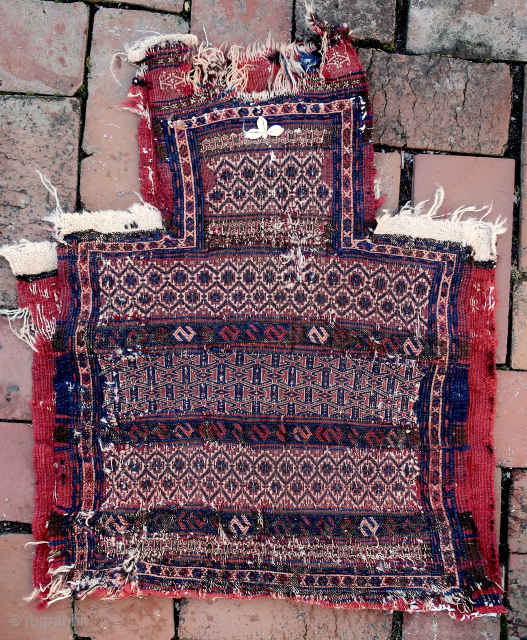 Early Flat weave Baluch Salt Bag-- approx 16 × 22”


Likely Khorasan. Predominance of white is unique among Baluch textiles. Amazingly fine weft float and sumak work. Note cowrie shell embellishment. Condition notwithstanding,  ...